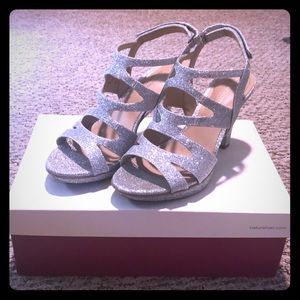 Sparkly Silver 3.5 inch Heels